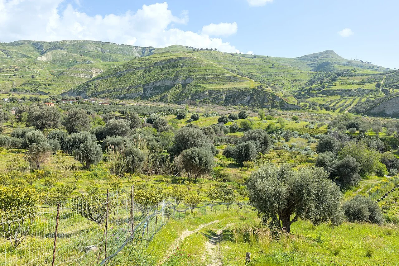 A view of Aspromonte, Melito di Porto Salvo