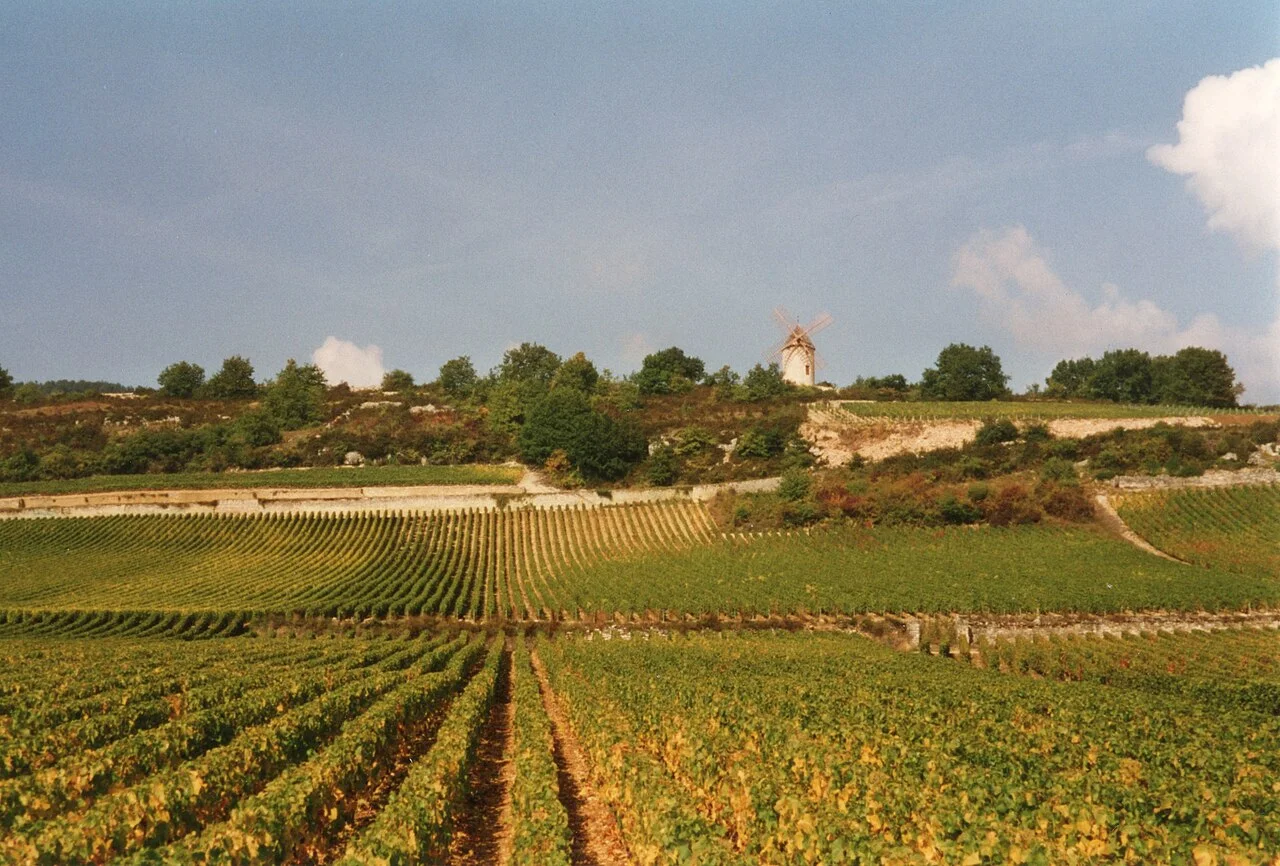 Veduta di Bourgogne