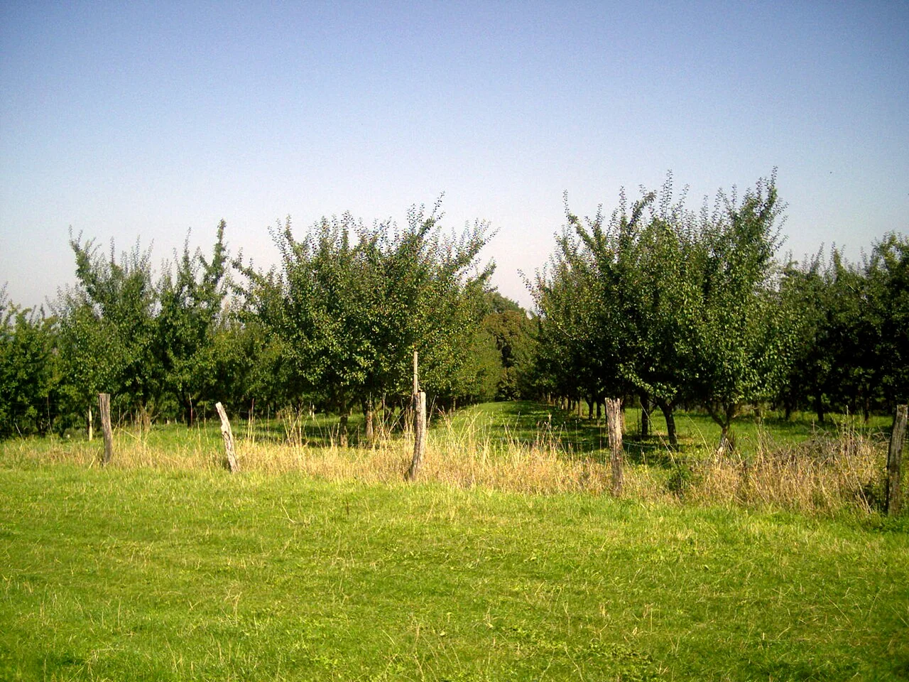 A view of Vigneulles, Lorraine
