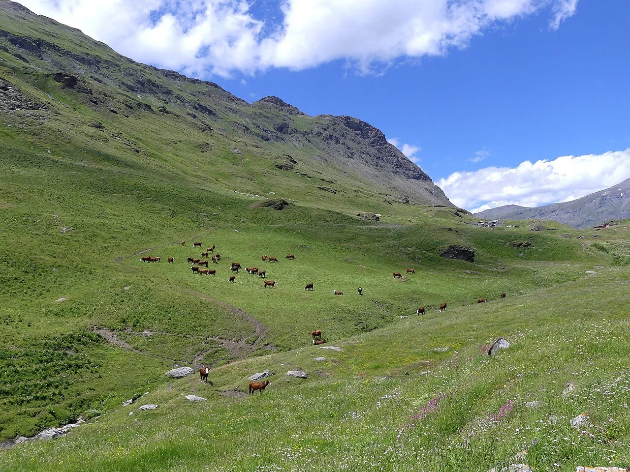 Veduta di Mont-Cenis, Savoie