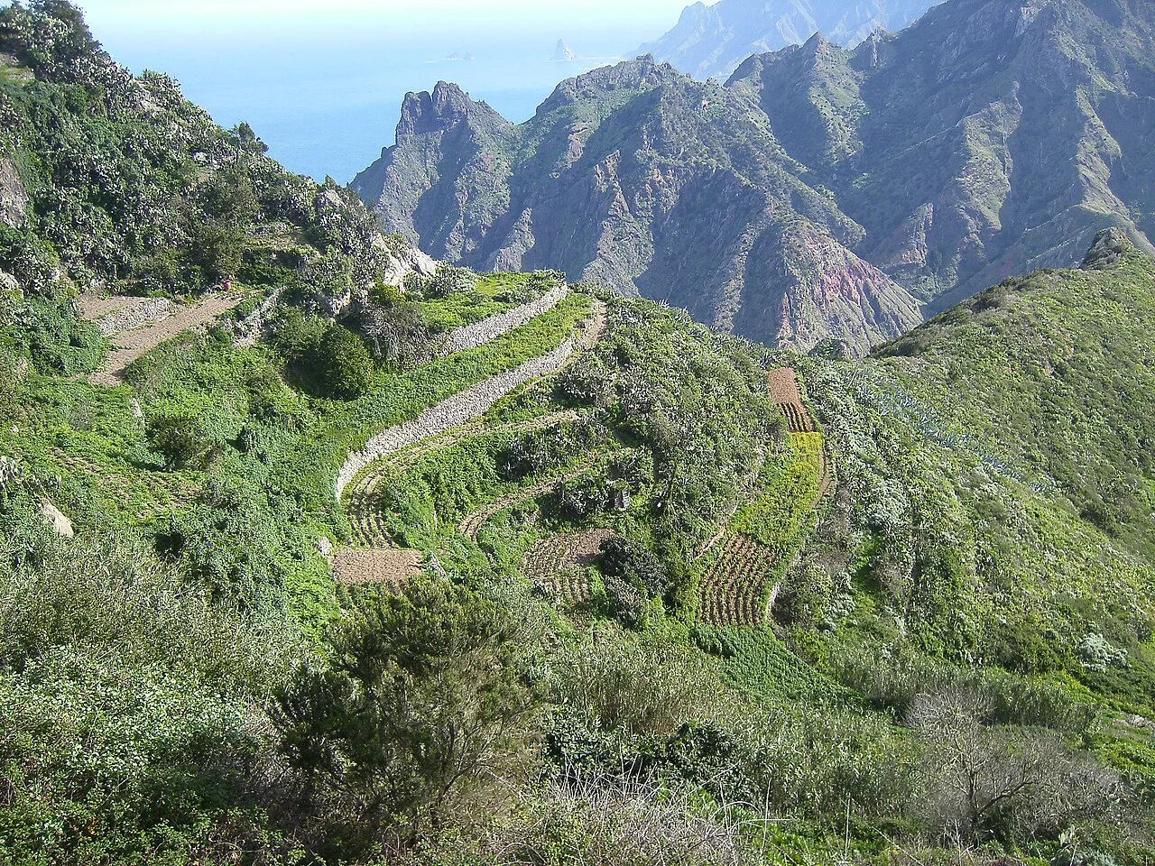 タボルノ／テネリフェの街並み・風景